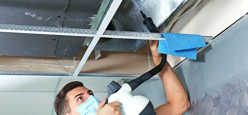 Our Air Duct Rodent Removal Services in Warren, MI
