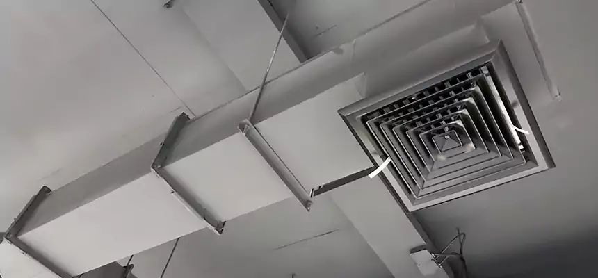 Our Rodent Droppings In Vents Services in Warren, MI