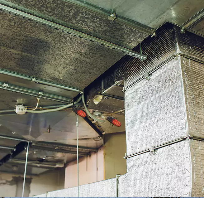 Why Homeowners & Businesses Trust Us in Warren, MI?