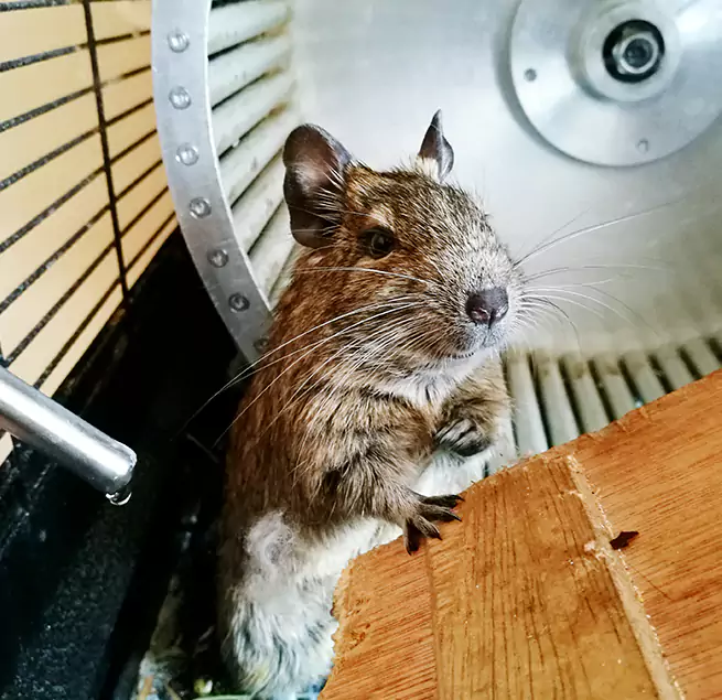 Why Homeowners & Businesses Trust Us Warren, MI