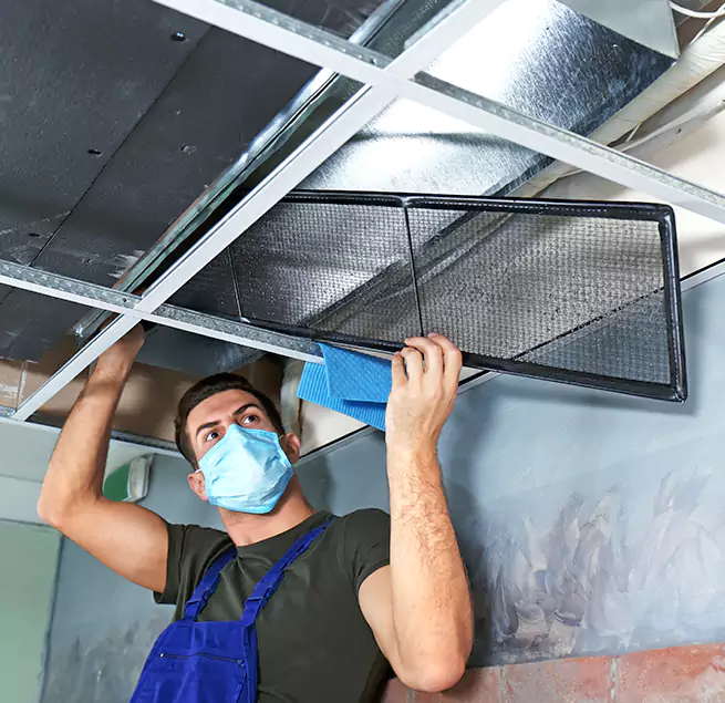 Why Homeowners & Businesses Trust Us in Warren, MI?